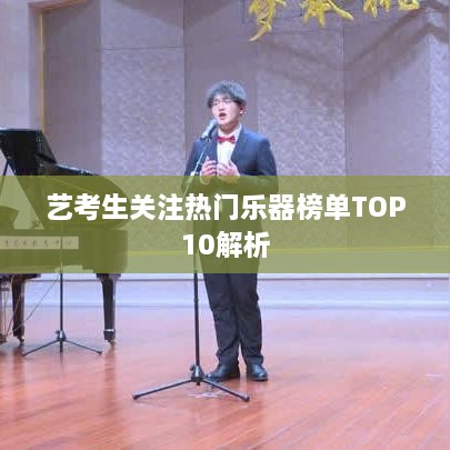 艺考生关注热门乐器榜单TOP10解析