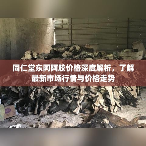 同仁堂东阿阿胶价格深度解析，了解最新市场行情与价格走势