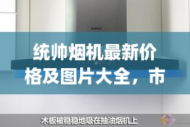 统帅烟机最新价格及图片大全，市场走势全面解读