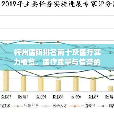 梅州医院排名前十及医疗实力概览，医疗质量与信誉的综合评价