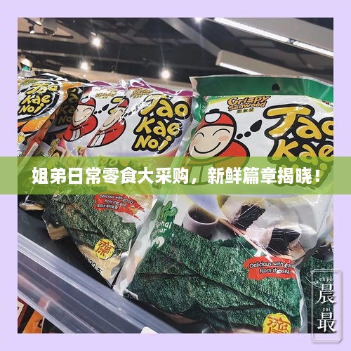 姐弟日常零食大采购，新鲜篇章揭晓！