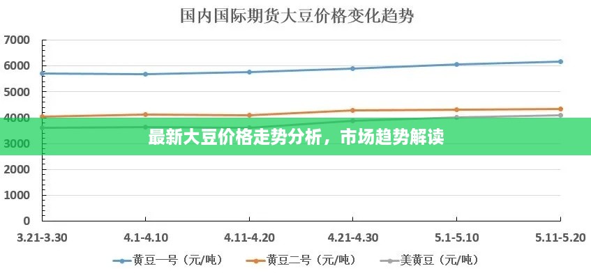 最新大豆价格走势分析，市场趋势解读