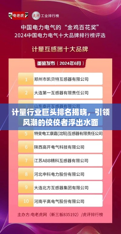 计量行业巨头排名揭晓，引领风潮的佼佼者浮出水面