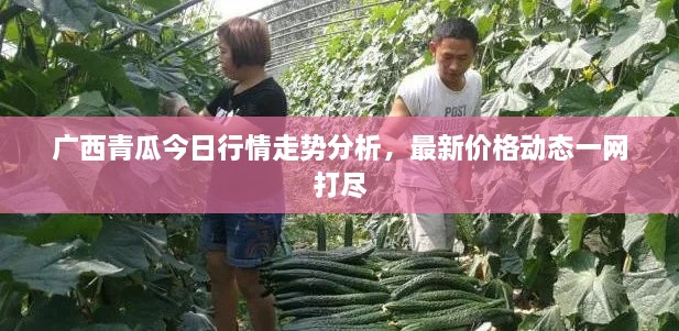 广西青瓜今日行情走势分析，最新价格动态一网打尽