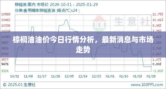 棕榈油油价今日行情分析，最新消息与市场走势