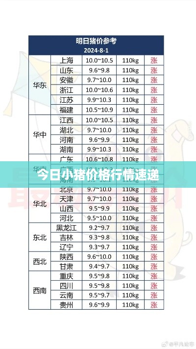 今日小猪价格行情速递