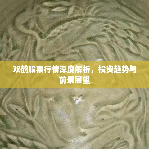 双鹤股票行情深度解析，投资趋势与前景展望