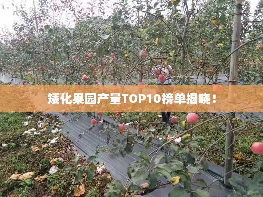 矮化果园产量TOP10榜单揭晓！