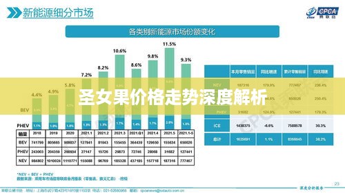 圣女果价格走势深度解析