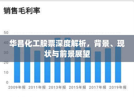 华昌化工股票深度解析，背景、现状与前景展望