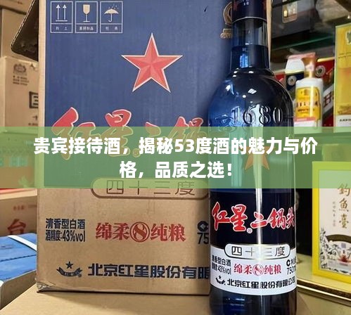 贵宾接待酒，揭秘53度酒的魅力与价格，品质之选！