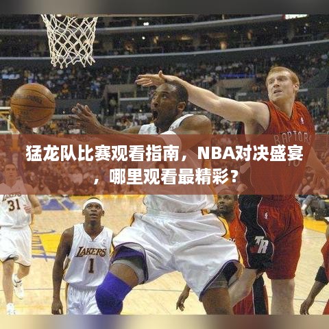 猛龙队比赛观看指南，NBA对决盛宴，哪里观看最精彩？