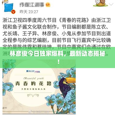 林彦俊今日独家爆料，最新动态揭秘！