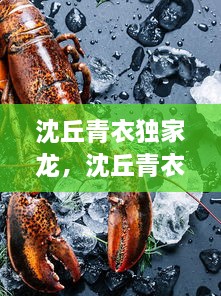 沈丘青衣独家龙，沈丘青衣独家龙虾店 