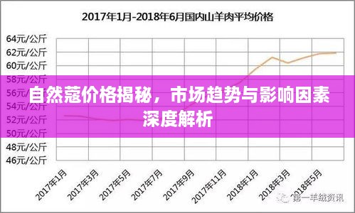 自然蔻价格揭秘，市场趋势与影响因素深度解析