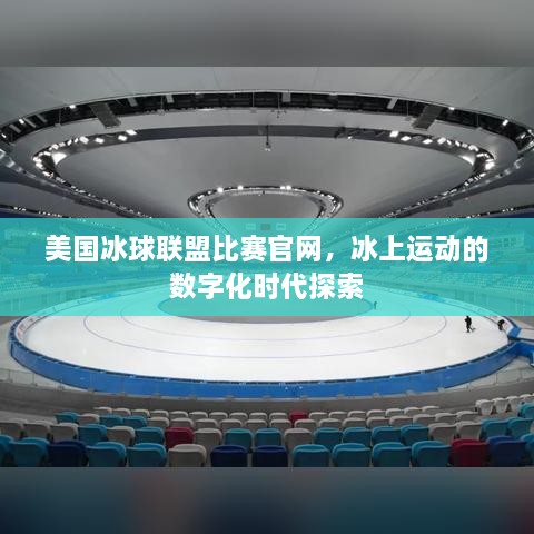 美国冰球联盟比赛官网，冰上运动的数字化时代探索