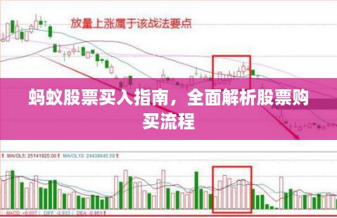 蚂蚁股票买入指南，全面解析股票购买流程