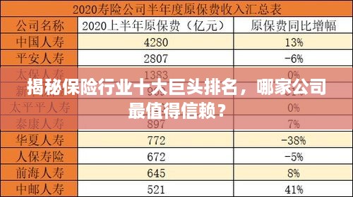 揭秘保险行业十大巨头排名，哪家公司最值得信赖？