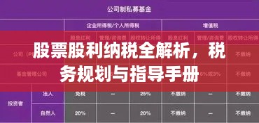 股票股利纳税全解析，税务规划与指导手册