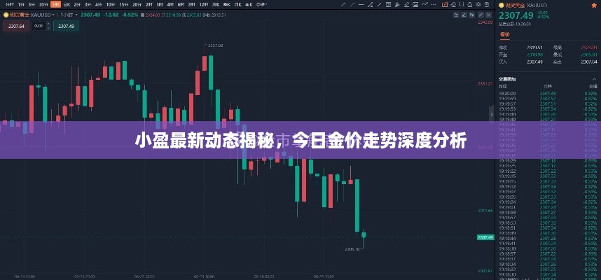 小盈最新动态揭秘，今日金价走势深度分析