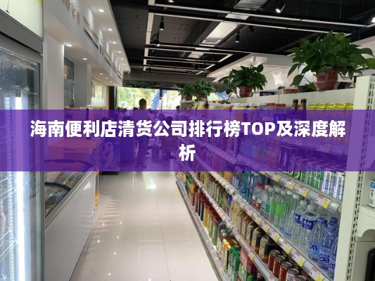 海南便利店清货公司排行榜TOP及深度解析