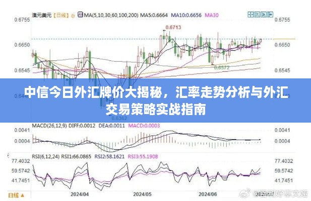 中信今日外汇牌价大揭秘，汇率走势分析与外汇交易策略实战指南