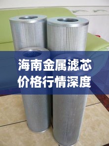 海南金属滤芯价格行情深度解析