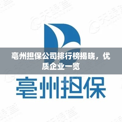 亳州担保公司排行榜揭晓，优质企业一览