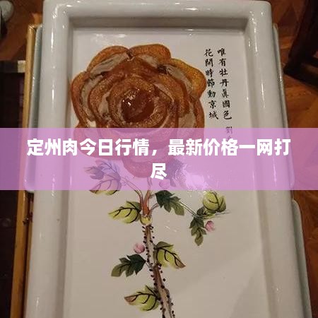 定州肉今日行情，最新价格一网打尽