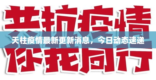 天柱疫情最新更新消息，今日动态速递