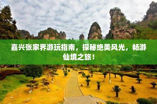 嘉兴张家界游玩指南，探秘绝美风光，畅游仙境之旅！