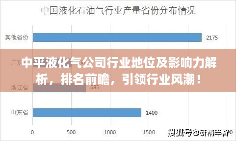 中平液化气公司行业地位及影响力解析，排名前瞻，引领行业风潮！