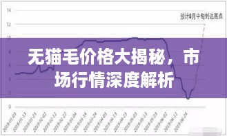 无猫毛价格大揭秘，市场行情深度解析