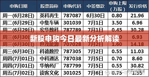 2025年2月21日 第5页