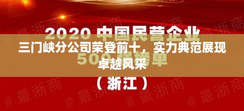 三门峡分公司荣登前十，实力典范展现卓越风采