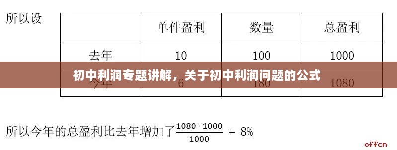 初中利润专题讲解，关于初中利润问题的公式 