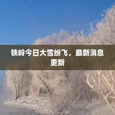 铁岭今日大雪纷飞，最新消息更新