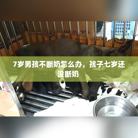 7岁男孩不断奶怎么办，孩子七岁还没断奶 