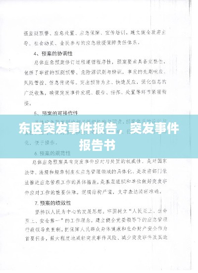 东区突发事件报告，突发事件报告书 