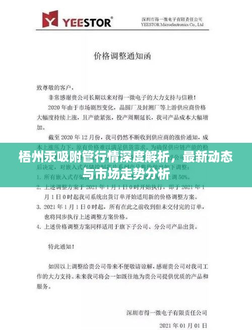 梧州汞吸附管行情深度解析，最新动态与市场走势分析