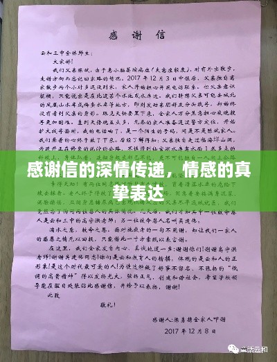 感谢信的深情传递，情感的真挚表达