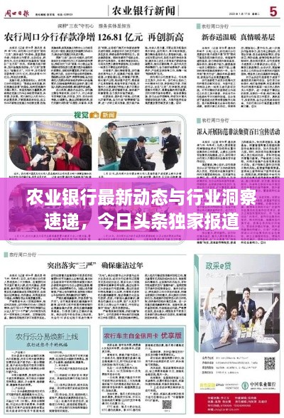 农业银行最新动态与行业洞察速递，今日头条独家报道